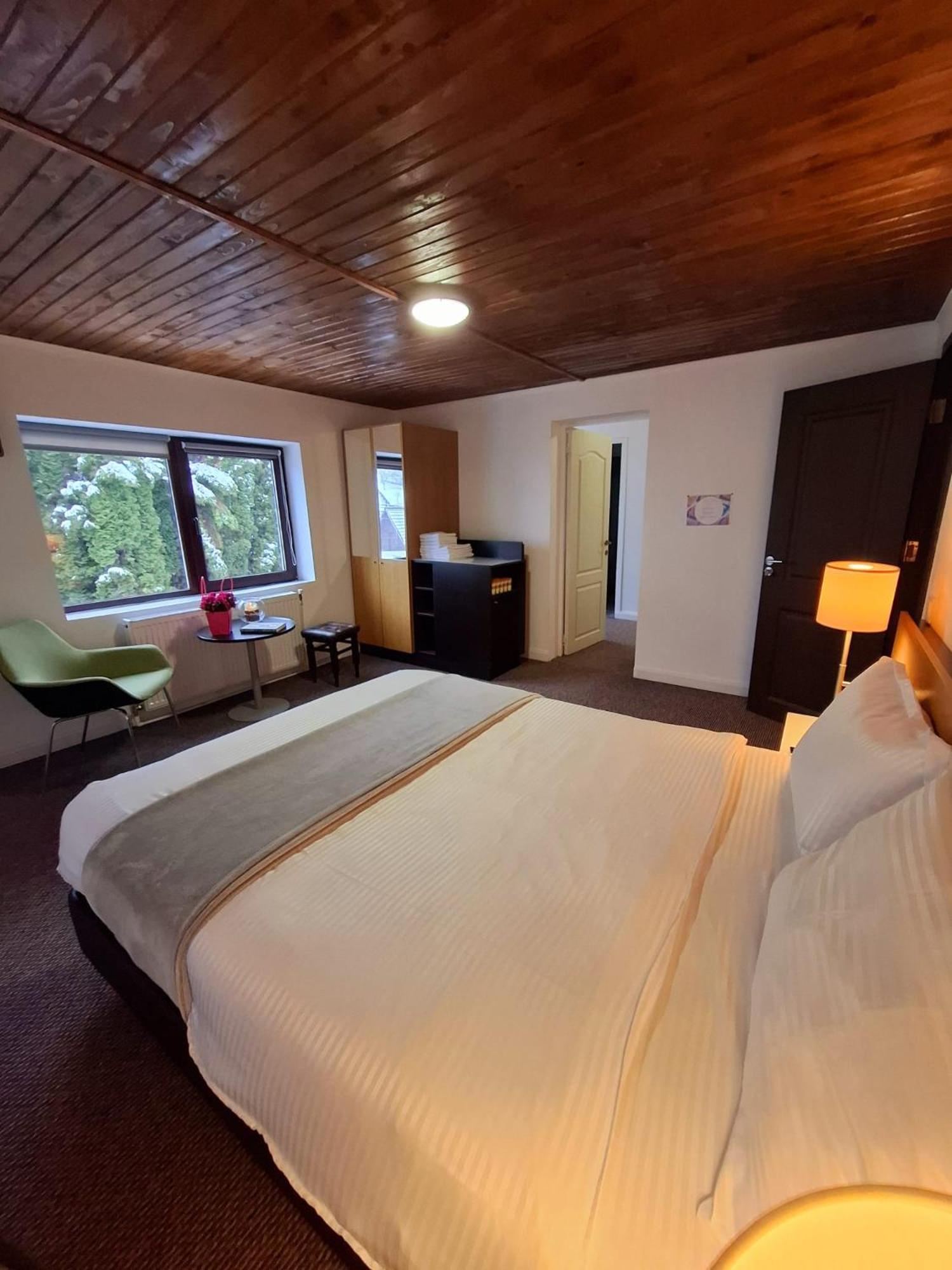 Country house The Black Cat Bran (Brasov)